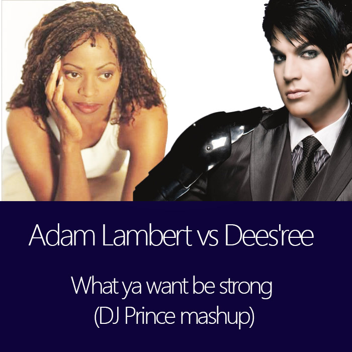 Adam Lambert vs Dees'ree - What ya want be strong (DJ Prince mashup)