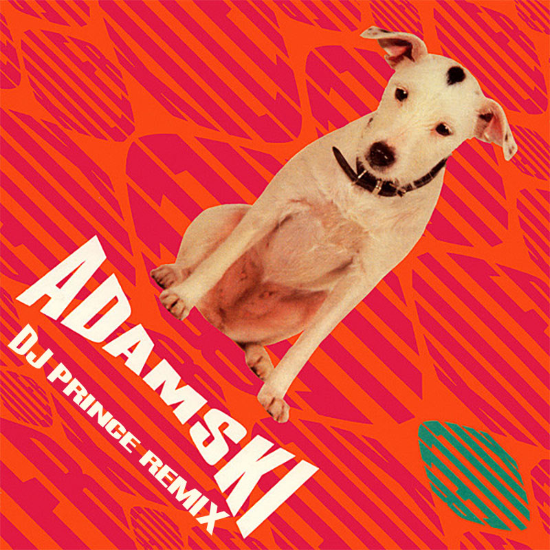 Adamski ft. Seal - Killer (DJ Prince bootleg remix)