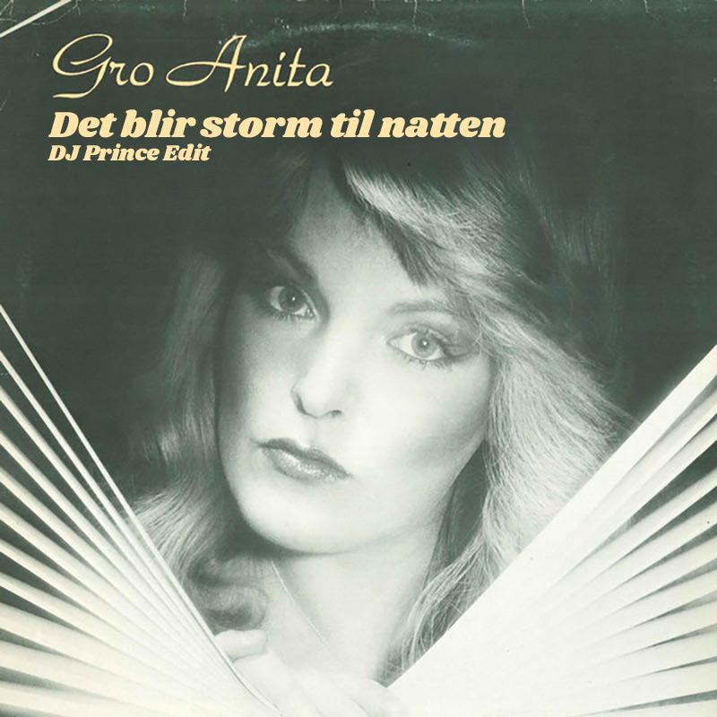 Gro Anita Schønn - Det blir storm til natten (DJ Prince Edit)