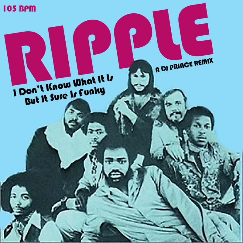Ripple - I dont know what it is but sure is funky (DJ Prince Remix)