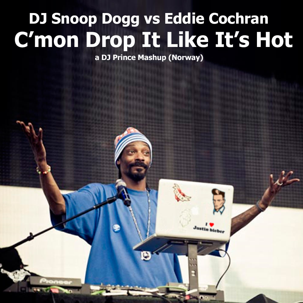 Snoop Dogg vs Eddie Cochram - Cmon drop it like its hot (DJ Prince mashup)
