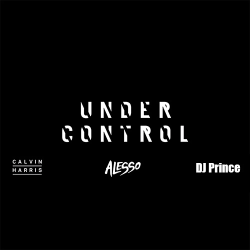 Calvin Harris - Under Control  (DJ Prince Remix)
