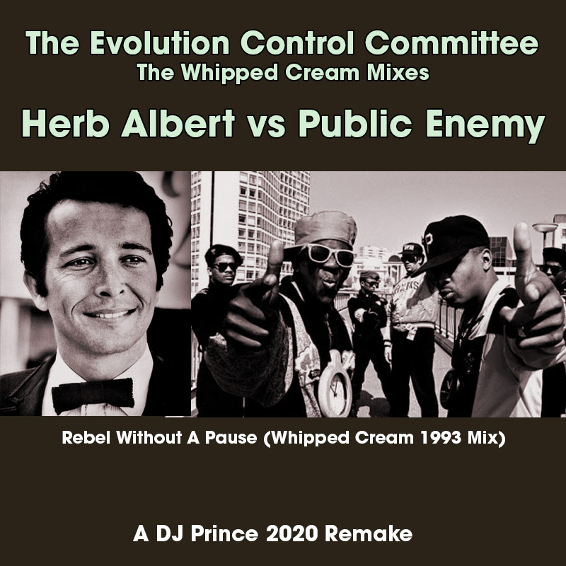 The Evolution Control Committee - Rebel Without A Pause (DJ Prince Remake)