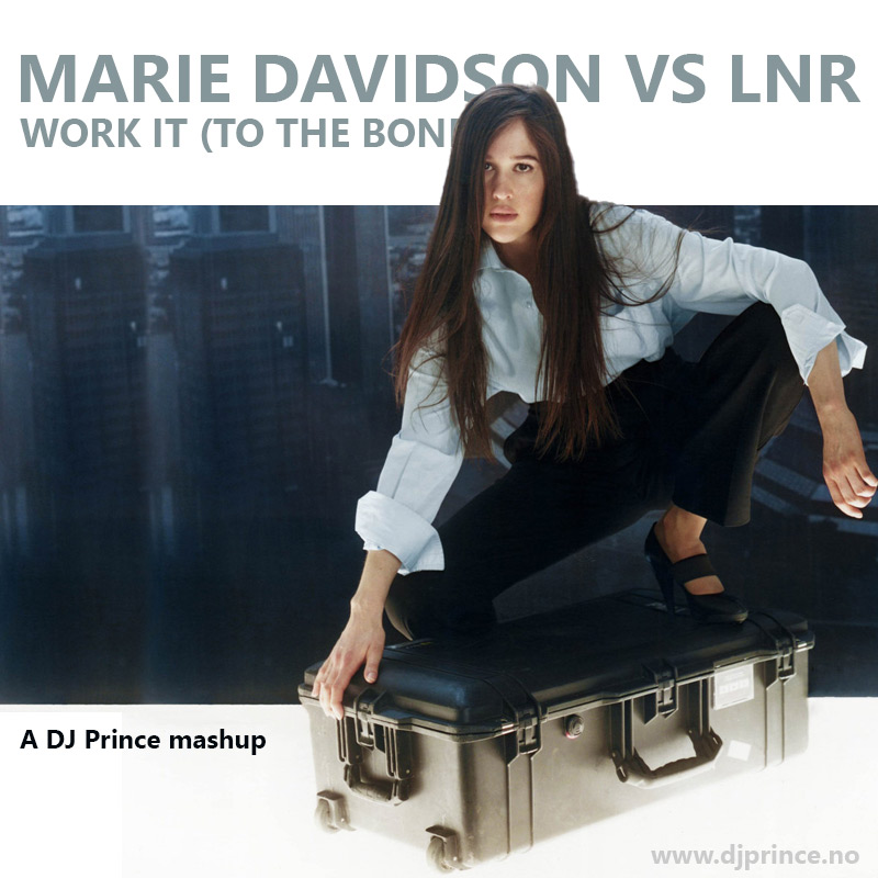 Marie Davidson vs LNR - Work it to the bone (DJ Prince mashup)