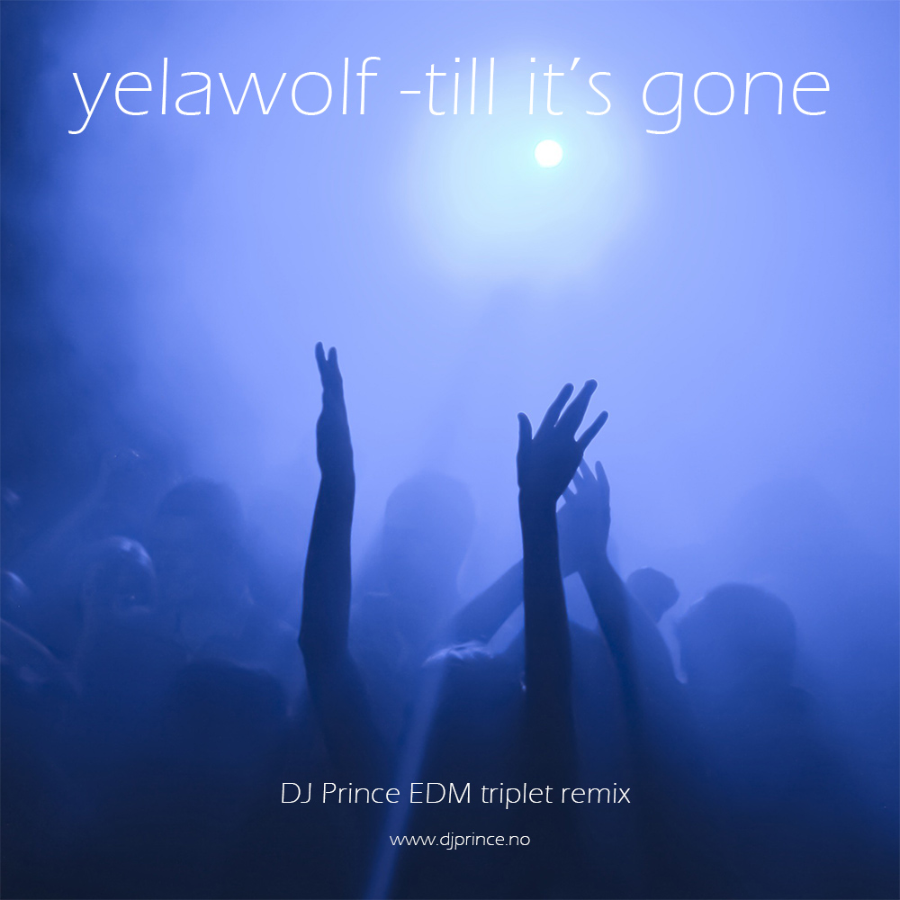 Yelawolf - Till its gone (DJ Prince EDM Tripet Mix)